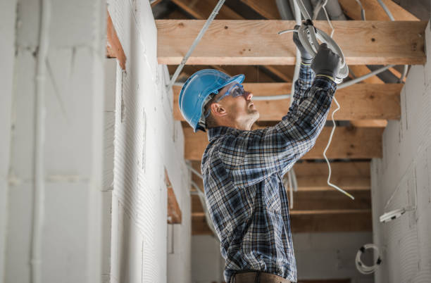 Best Electric Panel Repair  in Fayette, AL
