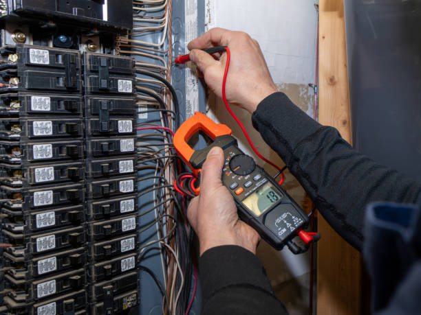 Best Ceiling Fan Installation Electrician  in Fayette, AL